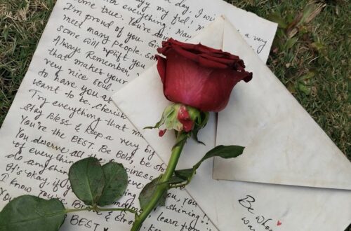 Image illustrant le jeu des lecteurs #4 - Lettre à... Lettre d’amour posée sur de l’herbe et recouvert d’une rose rouge.